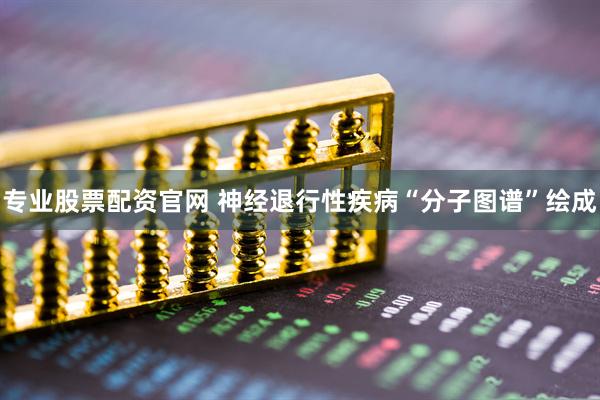 专业股票配资官网 神经退行性疾病“分子图谱”绘成