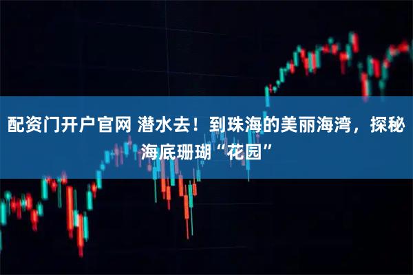 配资门开户官网 潜水去！到珠海的美丽海湾，探秘海底珊瑚“花园”